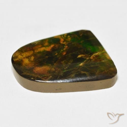 amolita Multicolor natural de 20.38 ct, Elegante, Opaco