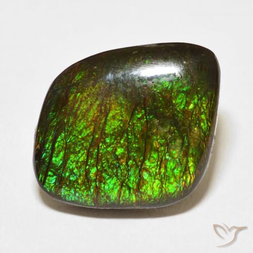 10.62ct Natural Multicolor amolita, Elegante, Opaco