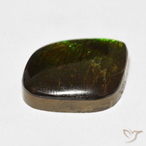 amolita Multicolor natural de 10.62 ct, Elegante, Opaco