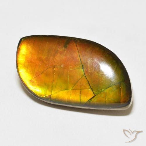 amolita Multicolor natural de 14.45 ct, Elegante, Opaco