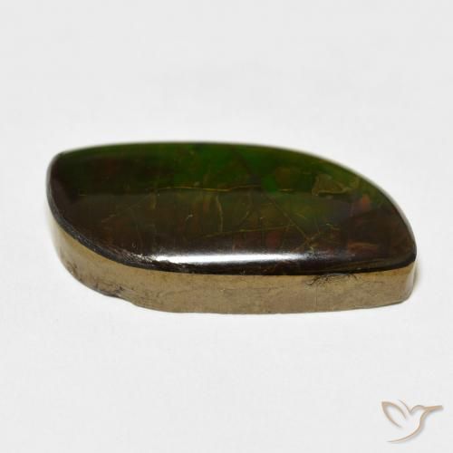 amolita Multicolor natural de 14.45 ct, Elegante, Opaco