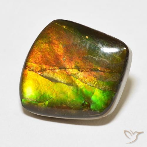 amolita Multicolor natural de 13.63 ct, Elegante, Opaco