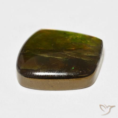 amolita Multicolor natural de 13.63 ct, Elegante, Opaco