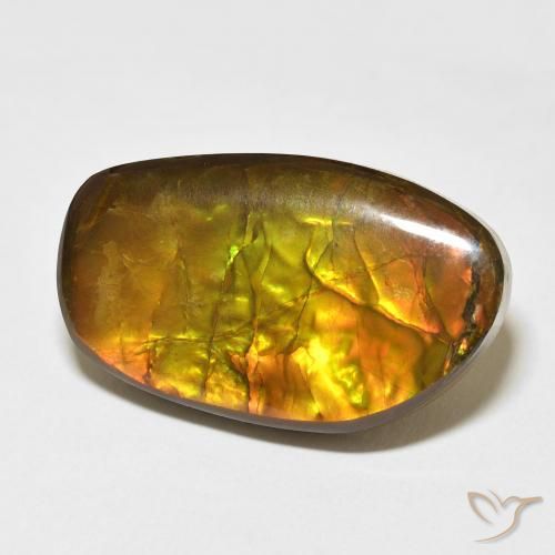 amolita Multicolor natural de 17.48 ct, Elegante, Opaco