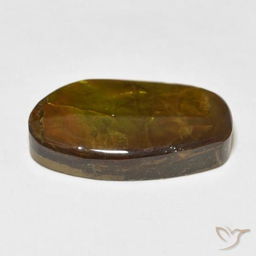 amolita Multicolor natural de 17.48 ct, Elegante, Opaco