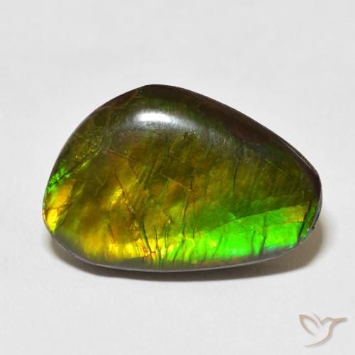 13.79ct Natural Multicolor amolita, Elegante, Opaco
