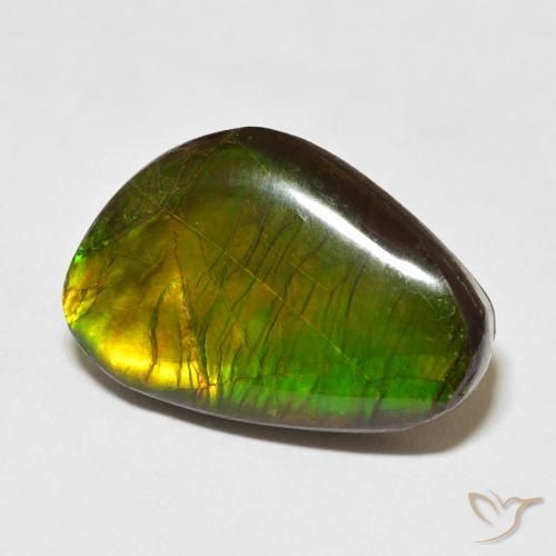 amolita Multicolor natural de 13.79 ct, Elegante, Opaco