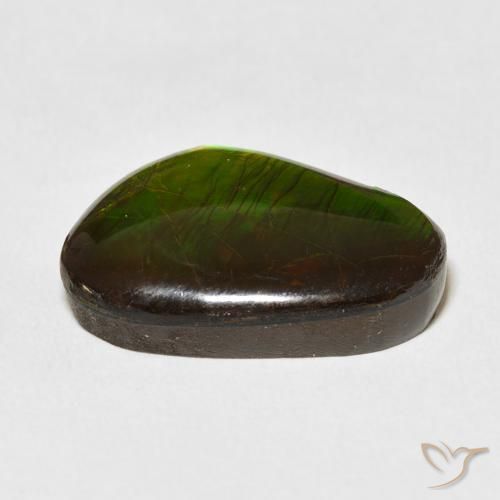 amolita Multicolor natural de 13.79 ct, Elegante, Opaco