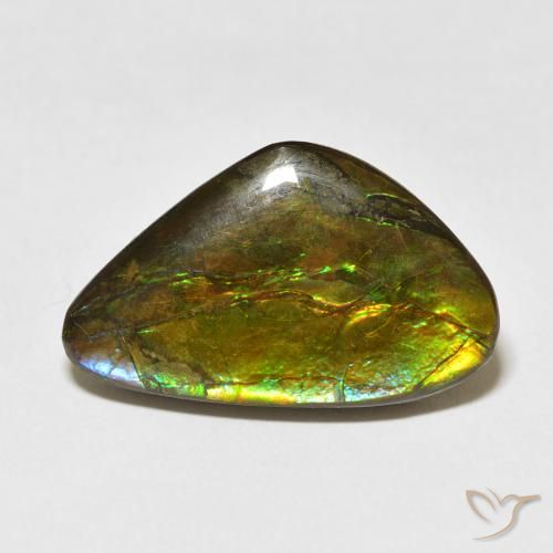 13.60ct Natural Multicolor amolita, Elegante, Opaco