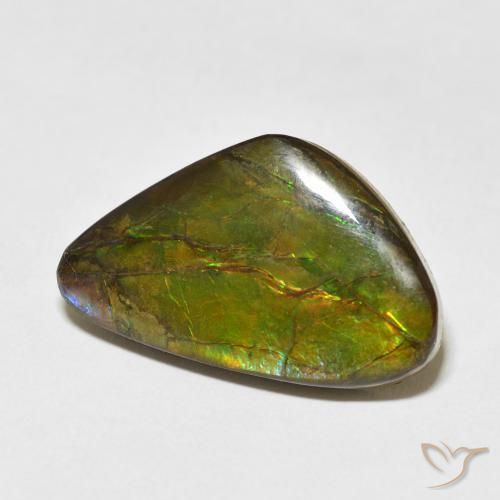 amolita Multicolor natural de 13.60 ct, Elegante, Opaco