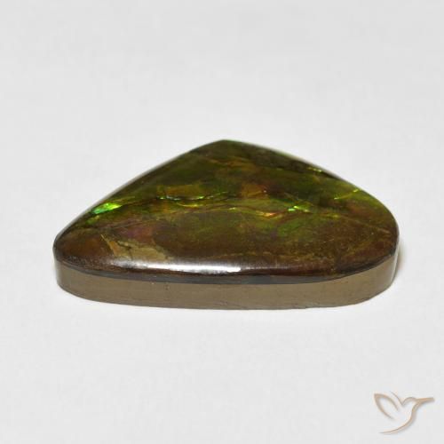 amolita Multicolor natural de 13.60 ct, Elegante, Opaco