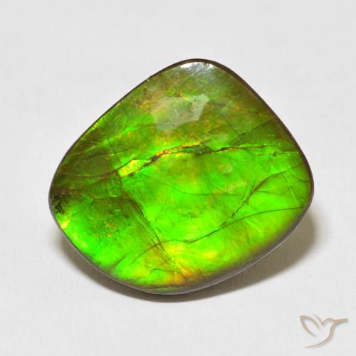 10.95ct Natural Multicolor amolita, Elegante, Opaco