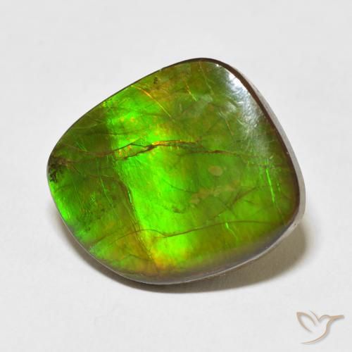 amolita Multicolor natural de 10.95 ct, Elegante, Opaco