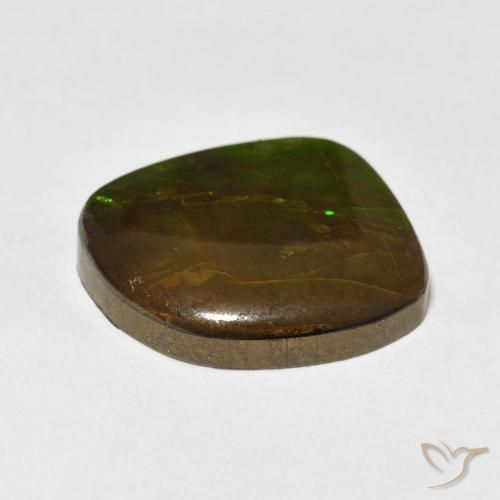 amolita Multicolor natural de 10.95 ct, Elegante, Opaco