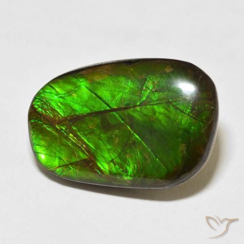 amolita Multicolor natural de 13.96 ct, Elegante, Opaco