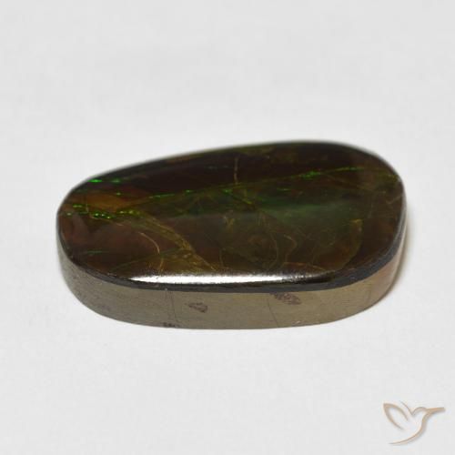 amolita Multicolor natural de 13.96 ct, Elegante, Opaco