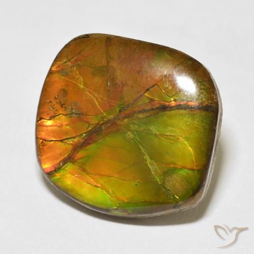amolita Multicolor natural de 15.37 ct, Elegante, Opaco