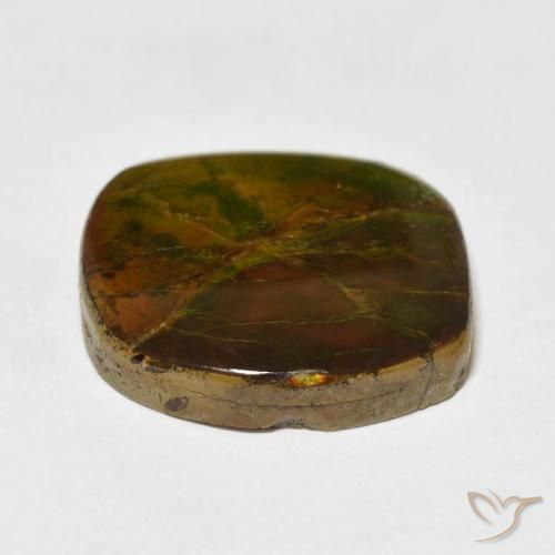 amolita Multicolor natural de 15.37 ct, Elegante, Opaco