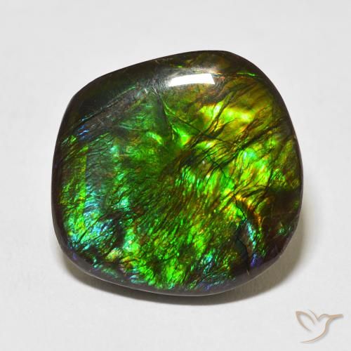 17.53ct Natural Multicolor amolita, Elegante, Opaco