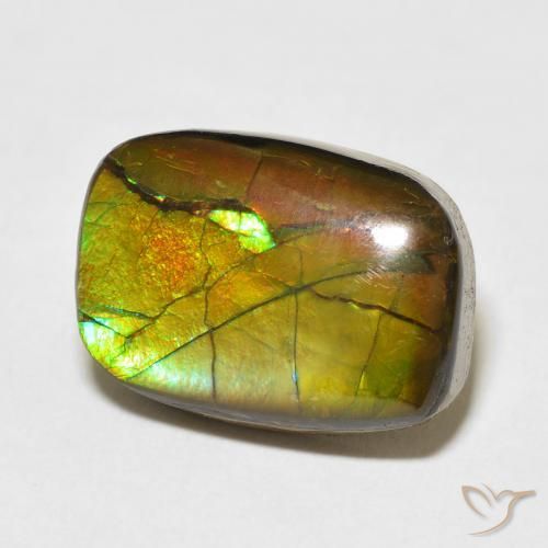 amolita Multicolor natural de 13.68 ct, Elegante, Opaco