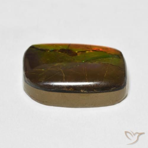amolita Multicolor natural de 13.68 ct, Elegante, Opaco