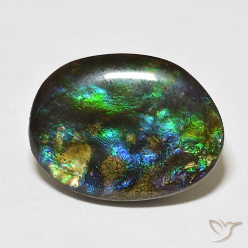 15.59ct Natural Multicolor amolita, Elegante, Opaco