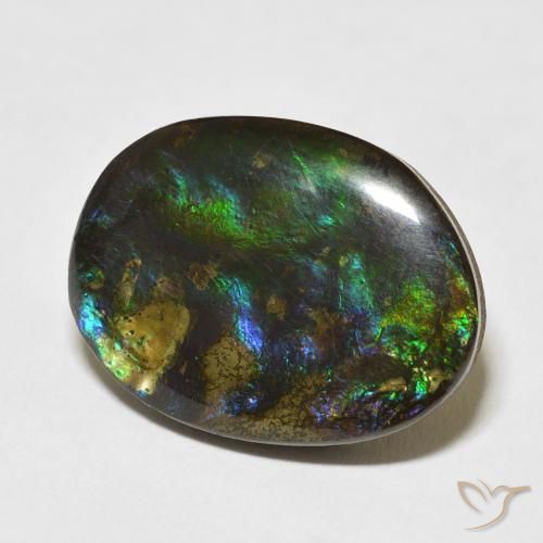 amolita Multicolor natural de 15.59 ct, Elegante, Opaco