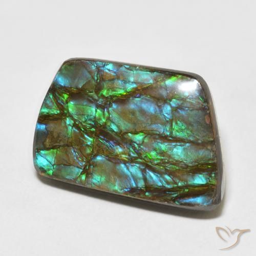 amolita Multicolor natural de 13.92 ct, Elegante, Opaco