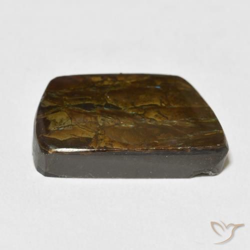 amolita Multicolor natural de 13.92 ct, Elegante, Opaco