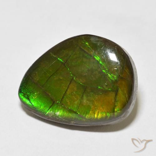 amolita Multicolor natural de 13.55 ct, Elegante, Opaco