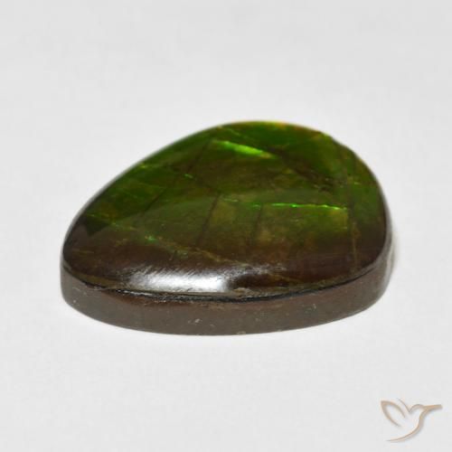 amolita Multicolor natural de 13.55 ct, Elegante, Opaco