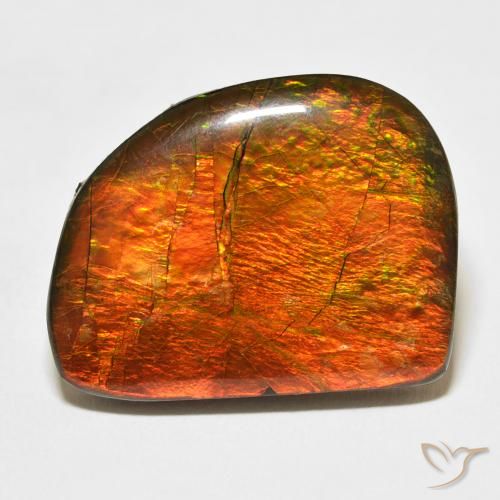 21.11ct Natural Multicolor amolita, Elegante, Opaco