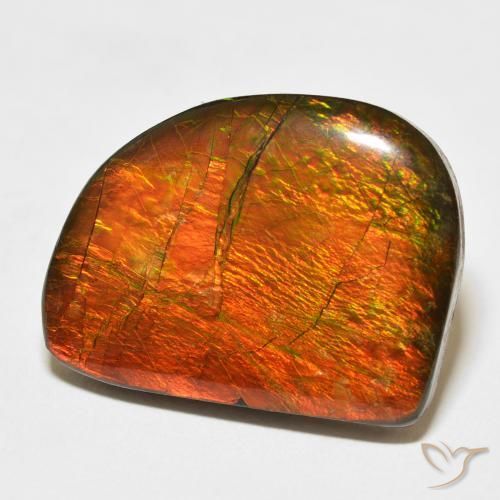 amolita Multicolor natural de 21.11 ct, Elegante, Opaco