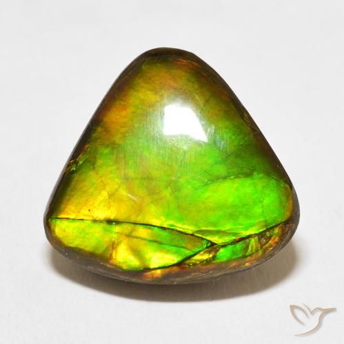 10.86ct Natural Multicolor amolita, Trillón, Opaco