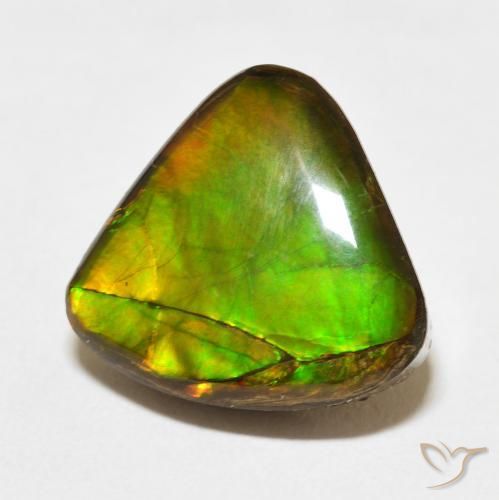 amolita Multicolor natural de 10.86 ct, Trillón, Opaco