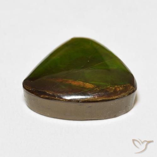 amolita Multicolor natural de 10.86 ct, Trillón, Opaco