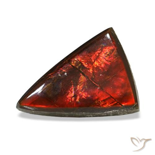 Ammolita multicolor natural de 3,12 ct, trillón, transparente