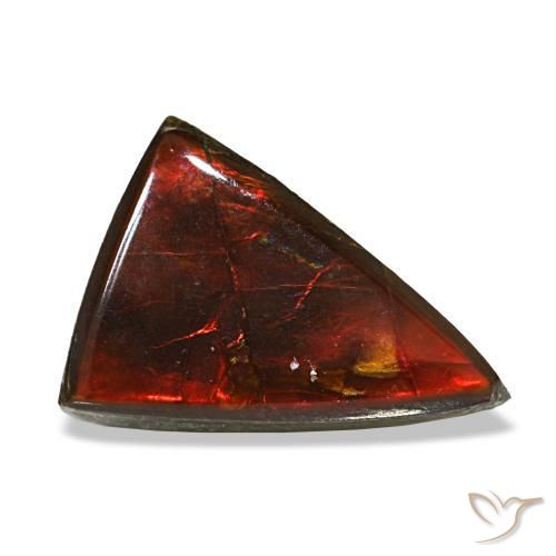 Ammolita multicolor natural de 3,12 ct, trillón, transparente