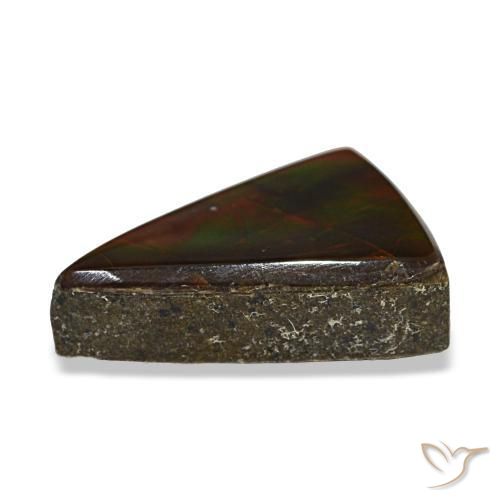 Ammolita multicolor natural de 3,12 ct, trillón, transparente