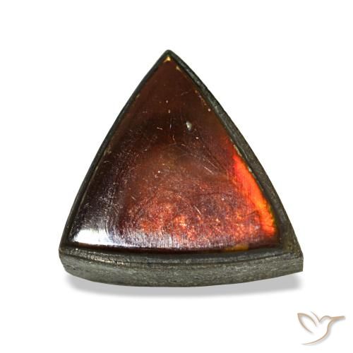 Ammolita multicolor natural de 1,53 ct, trillón, opaco
