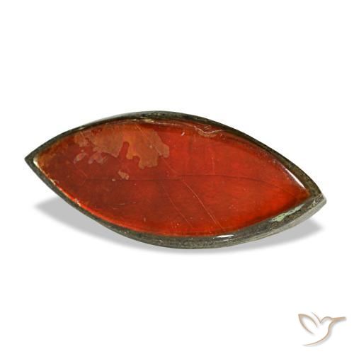Ammolita multicolor natural de 2,22 ct, marquesa, opaco