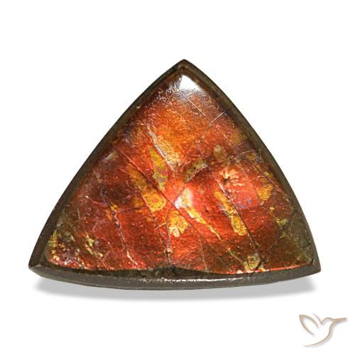 Ammolita multicolor natural de 3,33 ct, trillón, opaco