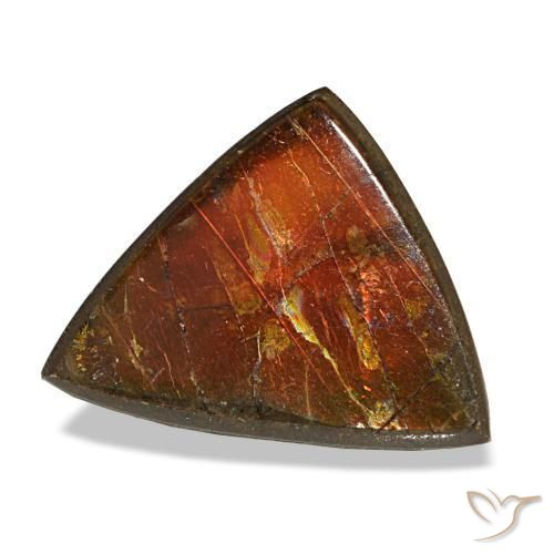 Ammolita multicolor natural de 3,33 ct, trillón, opaco
