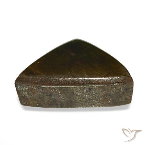 Ammolita multicolor natural de 3,33 ct, trillón, opaco