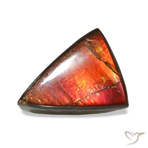 Ammolita multicolor de 1,64 ct, trillón, opaco