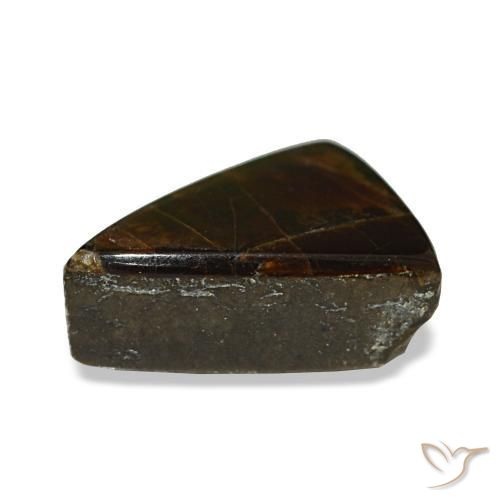 Ammolita multicolor natural de 1,64 ct, trillón, opaco