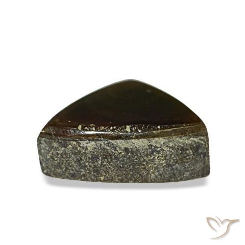 Ammolita multicolor natural de 1,17 ct, trillón, opaco