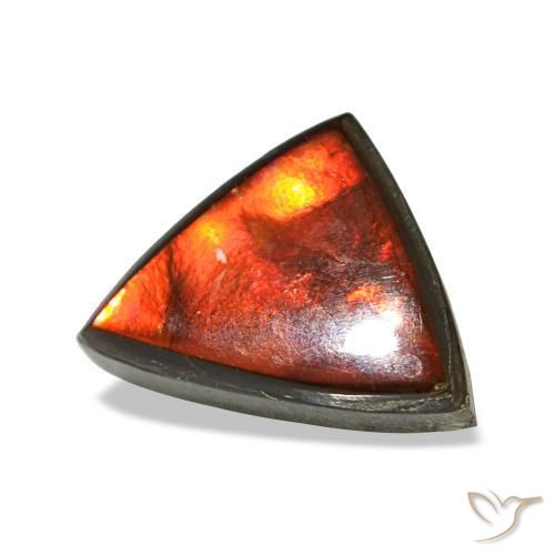 Ammolita multicolor natural de 1,77 ct, trillón, opaco