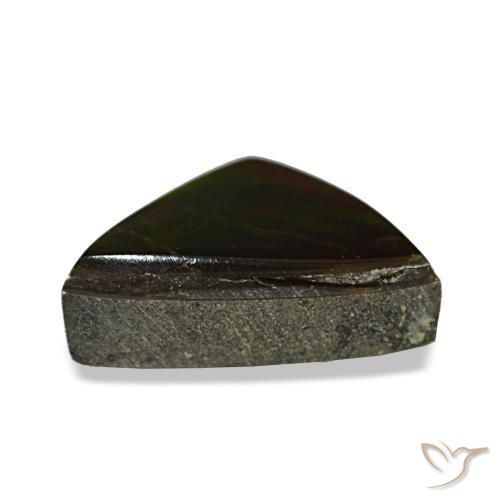 Ammolita multicolor natural de 1,77 ct, trillón, opaco