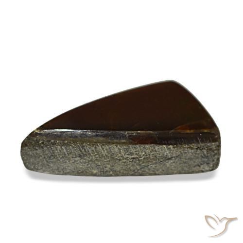 Ammolita multicolor natural de 1,89 ct, trillón, opaco